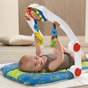 Baby Trainer Ergo Gym